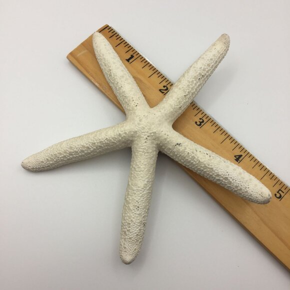 Vintage Set of 2 Seashell Magnets Starfish Sea Star Shell Hawaii Souvenir Fridge - Picture 5 of 10